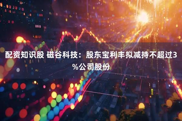 配资知识股 磁谷科技：股东宝利丰拟减持不超过3%公司股份